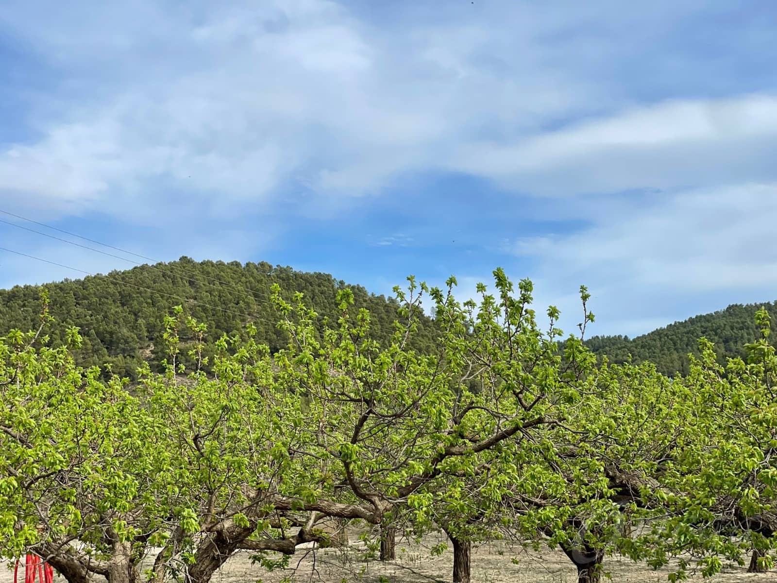 2 bedroom Finca/Country House for rent in Cehegin with garage - € 700 (Ref: 7757044)