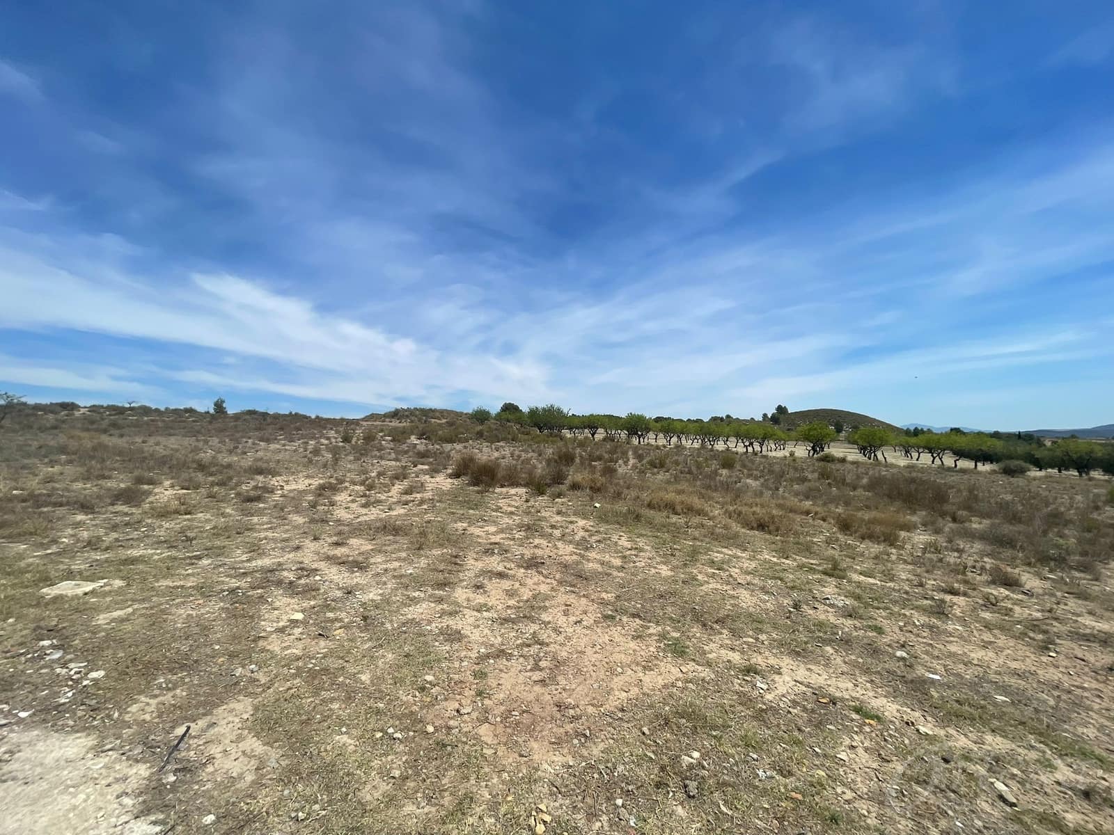 Finca/Country House for sale in Cehegin - € 35,000 (Ref: 7757052)