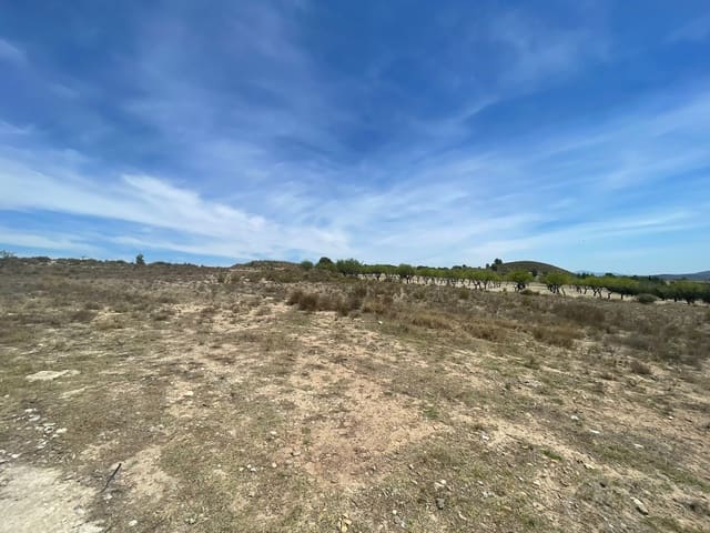 Finca/Casa Rural en Cehegín en venta - 35.000 € (Ref: 7757052)