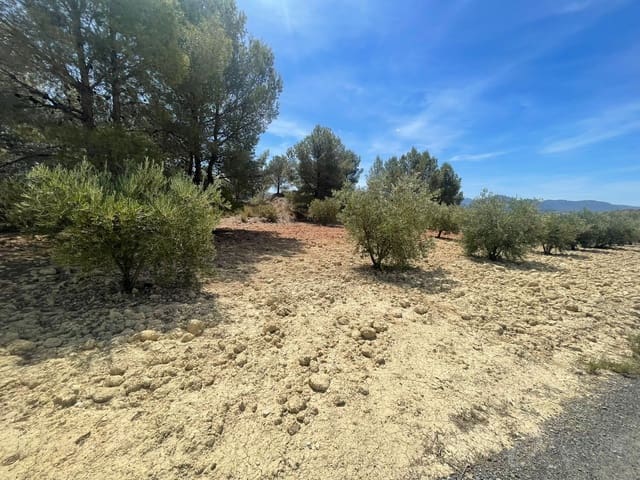 Finca/Casa Rural en Cehegín en venta - 35.000 € (Ref: 7757052)