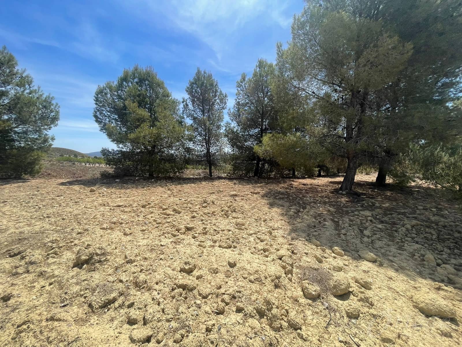 Finca/Country House for sale in Cehegin - € 35,000 (Ref: 7757052)