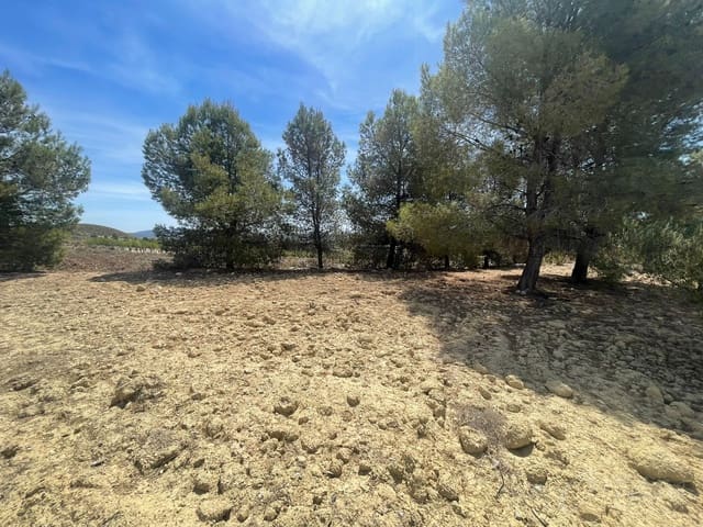 Finca/Casa Rural en Cehegín en venta - 35.000 € (Ref: 7757052)