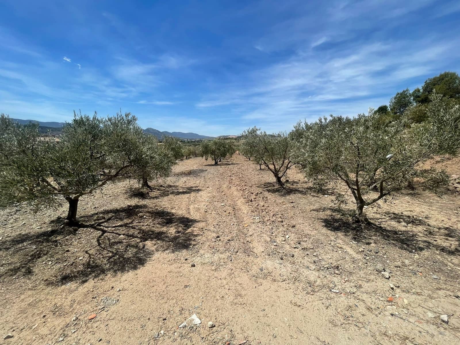 Finca/Country House for sale in Cehegin - € 35,000 (Ref: 7757052)