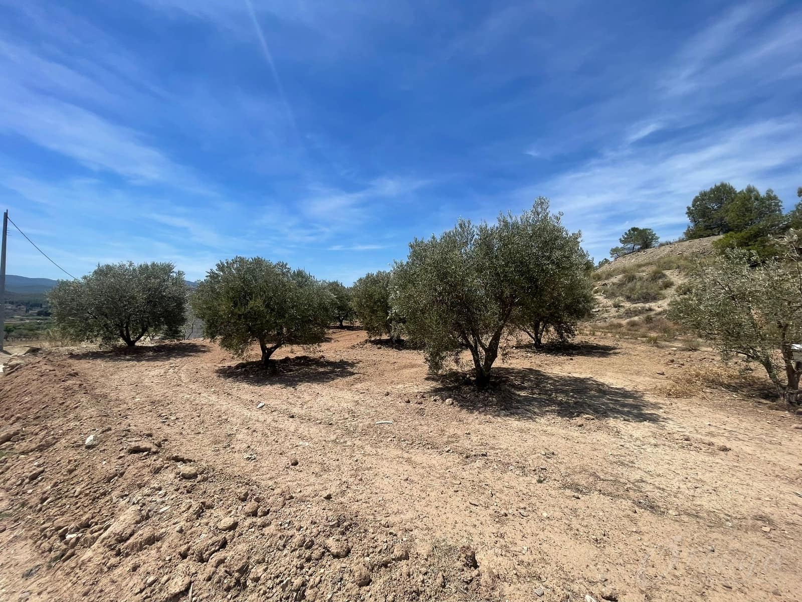 Finca/Country House for sale in Cehegin - € 35,000 (Ref: 7757052)