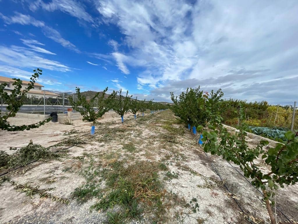 Undeveloped Land for sale in Cehegin - € 210,000 (Ref: 7905290)