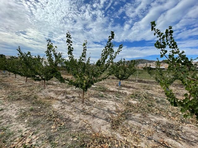 Undeveloped Land for sale in Cehegín - € 210,000 (Ref: 7905290)