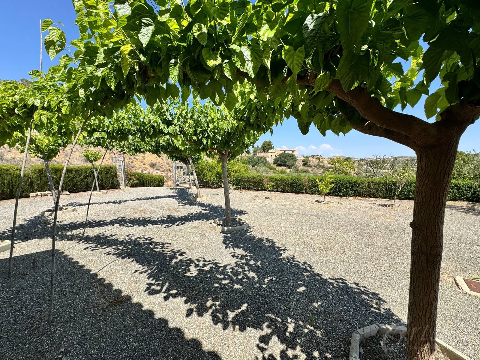 4 bedroom Finca/Country House for sale in Cehegin with pool garage - € 245,000 (Ref: 8193656)