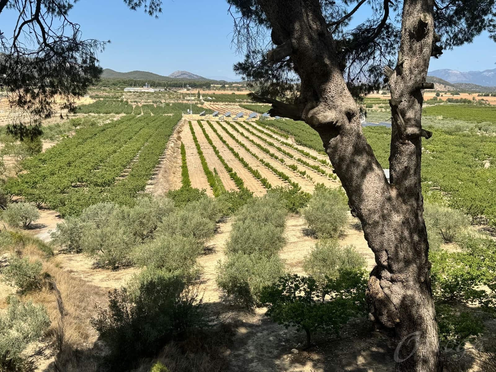 6 bedroom Finca/Country House for sale in Bullas with garage - € 265,000 (Ref: 8343577)