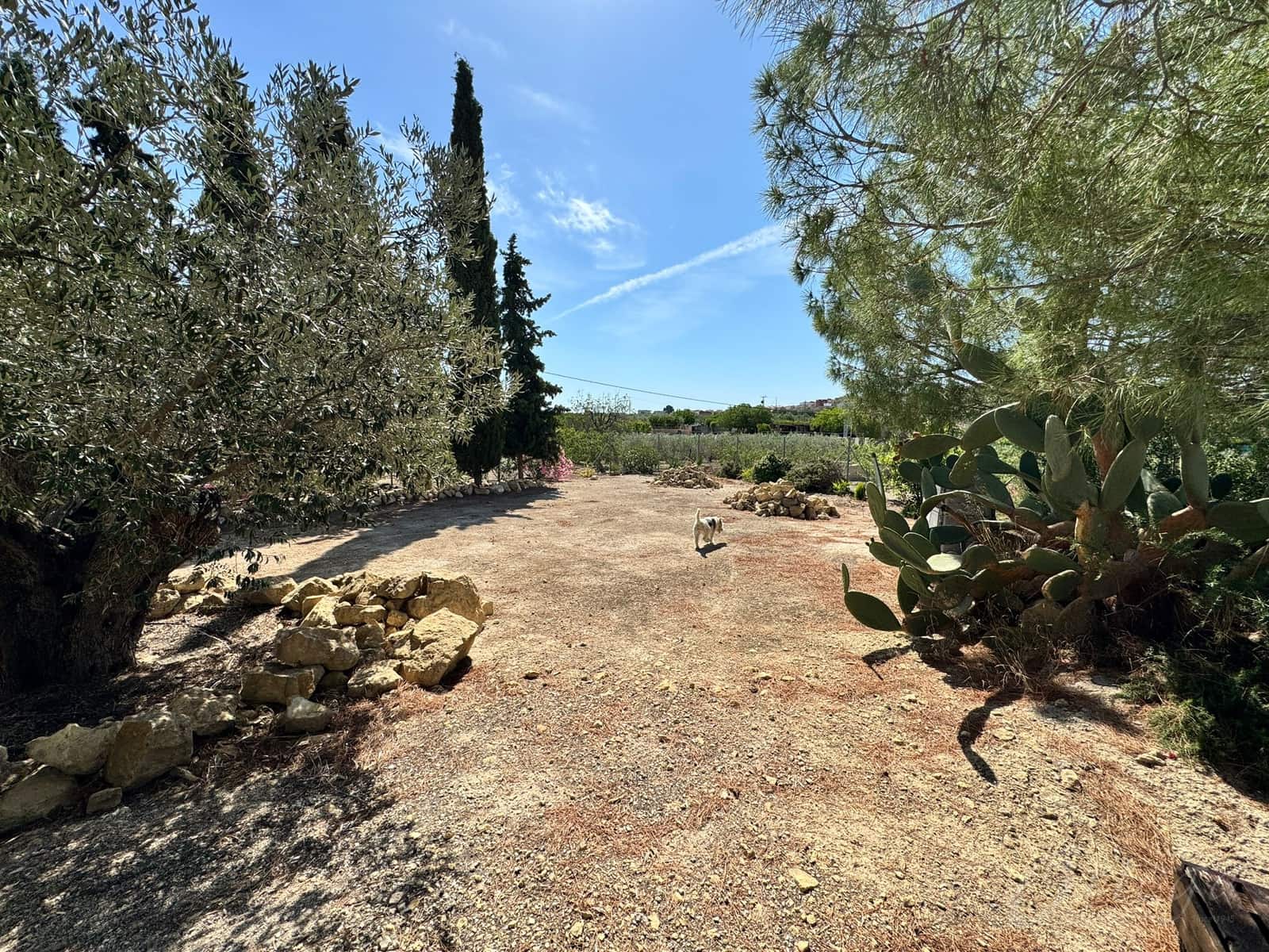 6 bedroom Finca/Country House for sale in Bullas with garage - € 265,000 (Ref: 8343577)