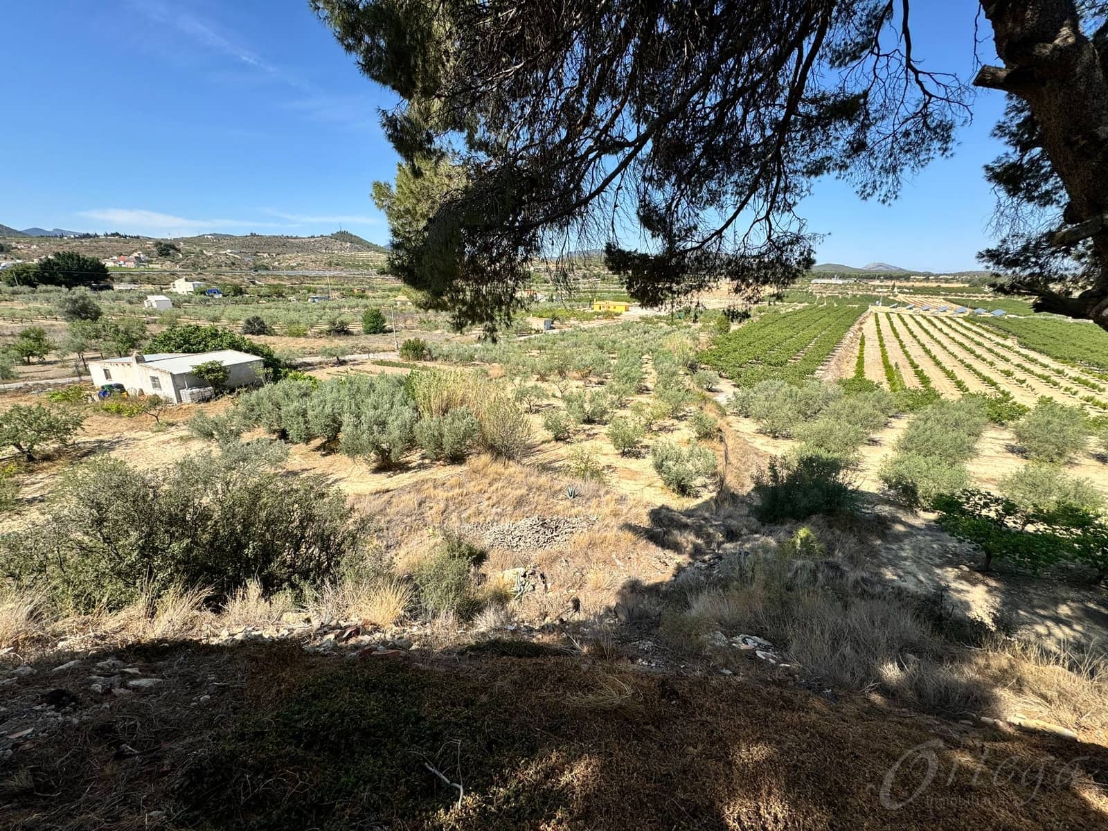 6 bedroom Finca/Country House for sale in Bullas with garage - € 265,000 (Ref: 8343577)