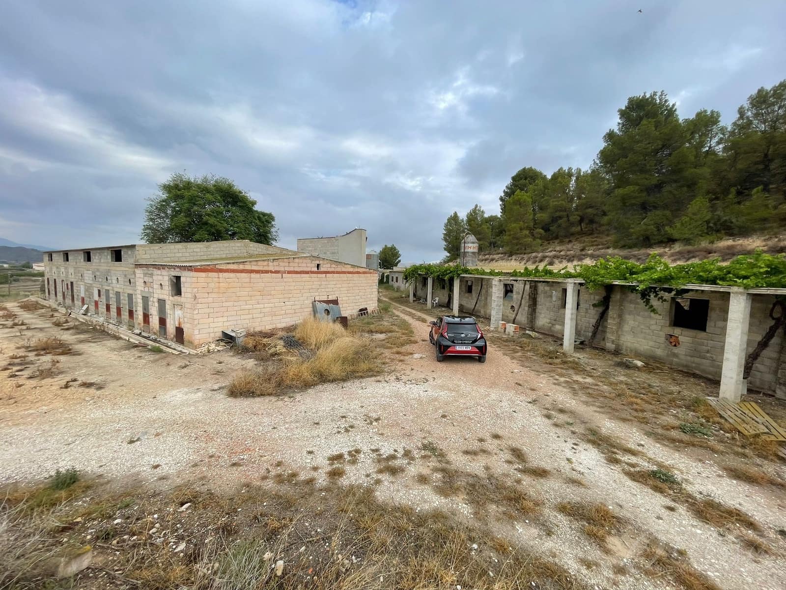 Undeveloped Land for sale in Cehegin - € 95,000 (Ref: 8353327)