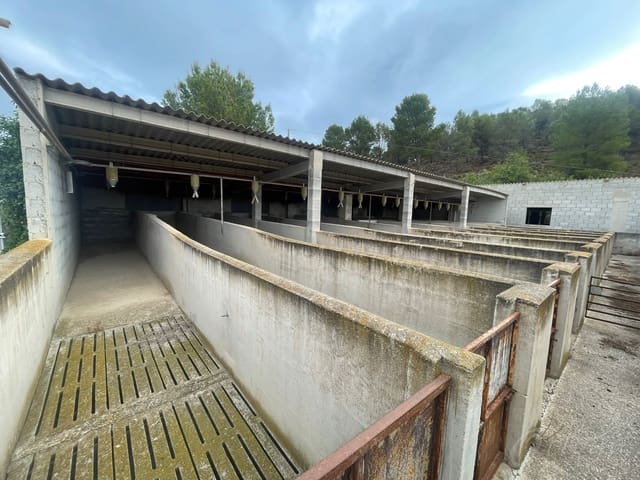 Undeveloped Land for sale in Cehegín - € 95,000 (Ref: 8353327)