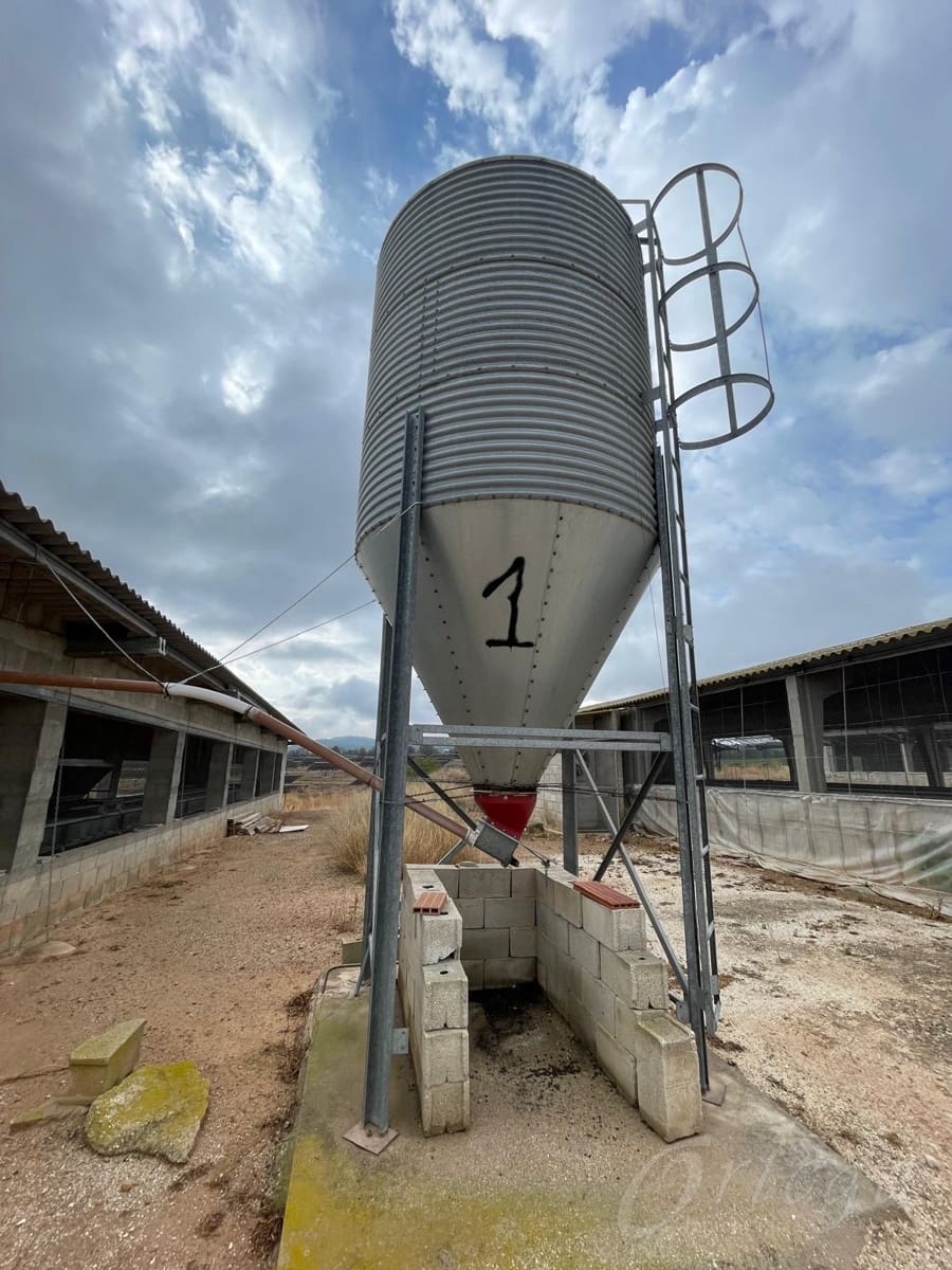 Rakentamaton maa myytävänä paikassa Cehegin - 260 000 € (Ref: 8353328)