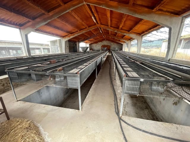 Rakentamaton maa myytävänä paikassa Cehegín - 260 000 € (Ref: 8353328)