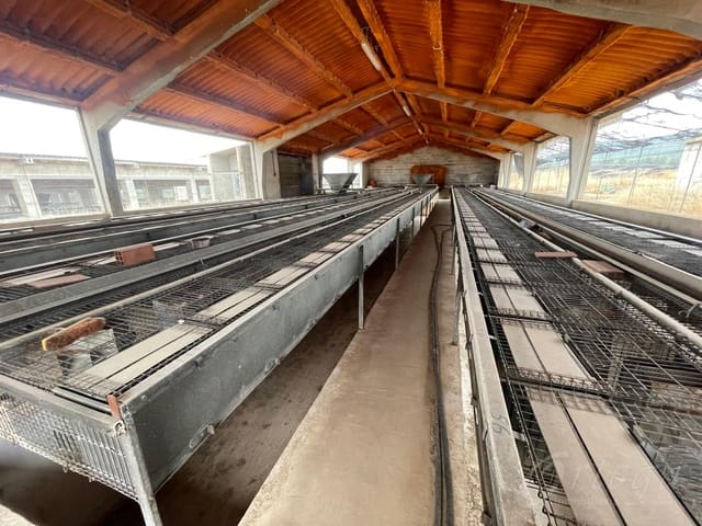 Rakentamaton maa myytävänä paikassa Cehegín - 260 000 € (Ref: 8353328)