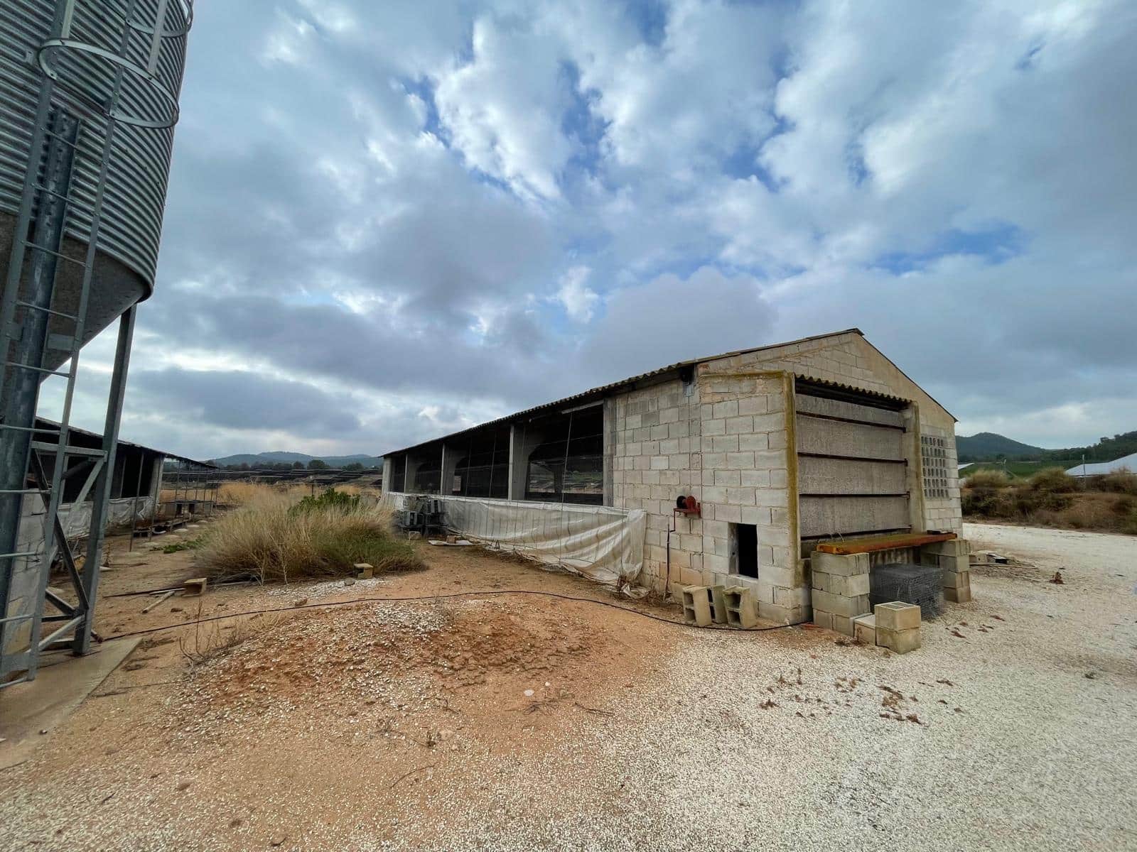 Rakentamaton maa myytävänä paikassa Cehegin - 260 000 € (Ref: 8353328)