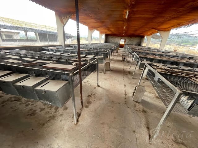 Rakentamaton maa myytävänä paikassa Cehegín - 260 000 € (Ref: 8353328)