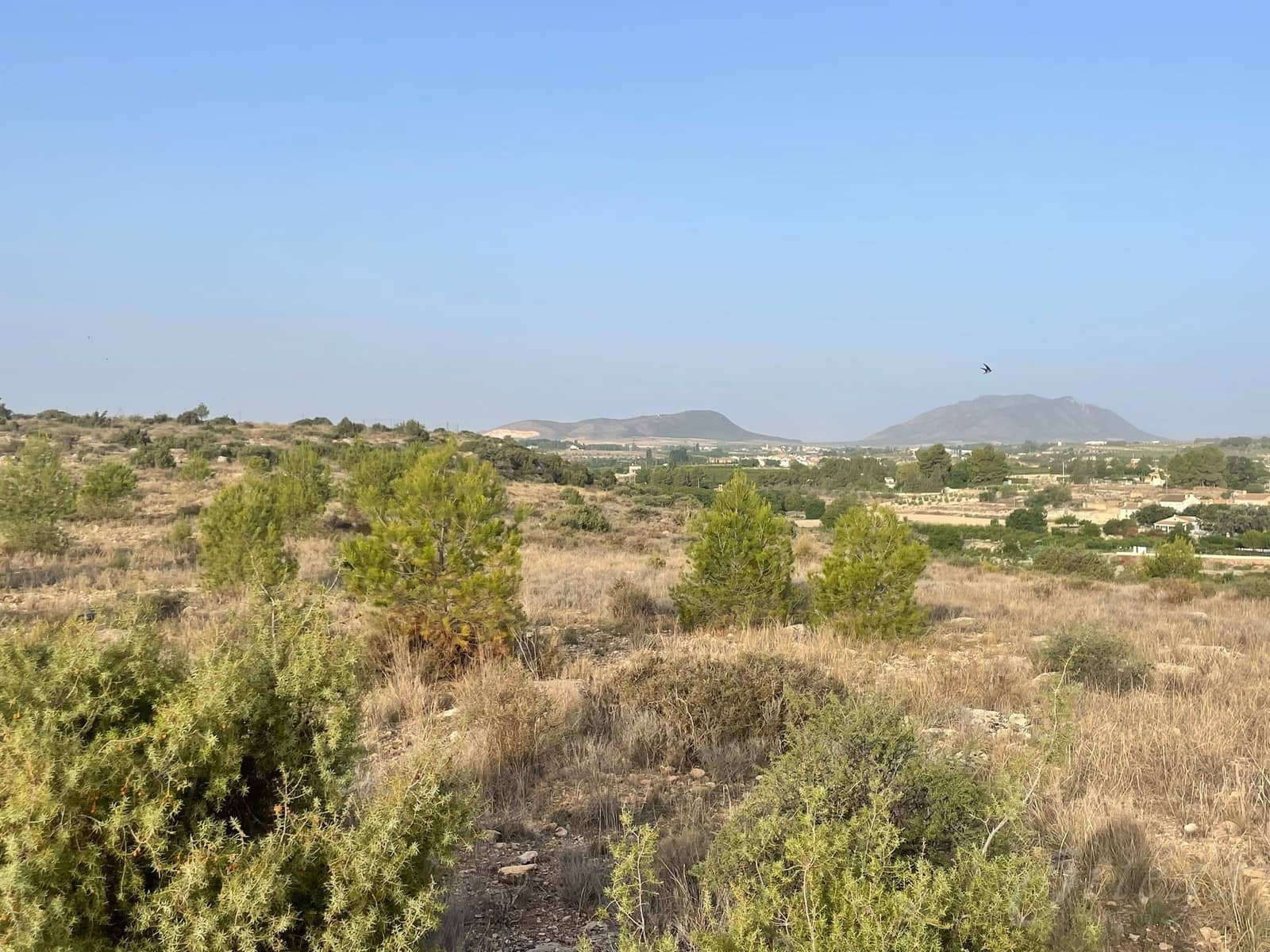 Bouwgrond te koop in Benablon - € 55.000 (Ref: 8444787)