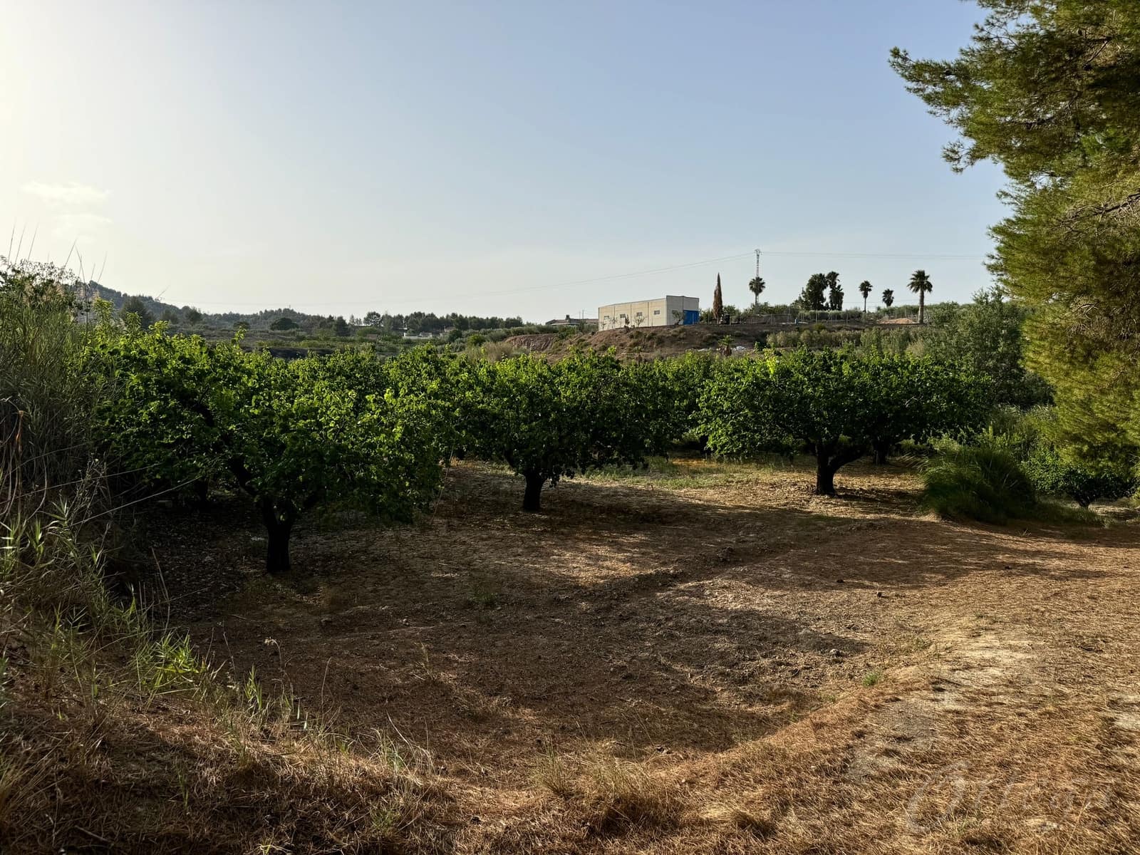 Finca/Country House for sale in Cehegin - € 36,000 (Ref: 8449677)