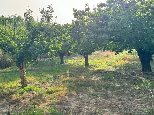 Finca/Casa Rural en Cehegín en venta - 36.000 € (Ref: 8449677)