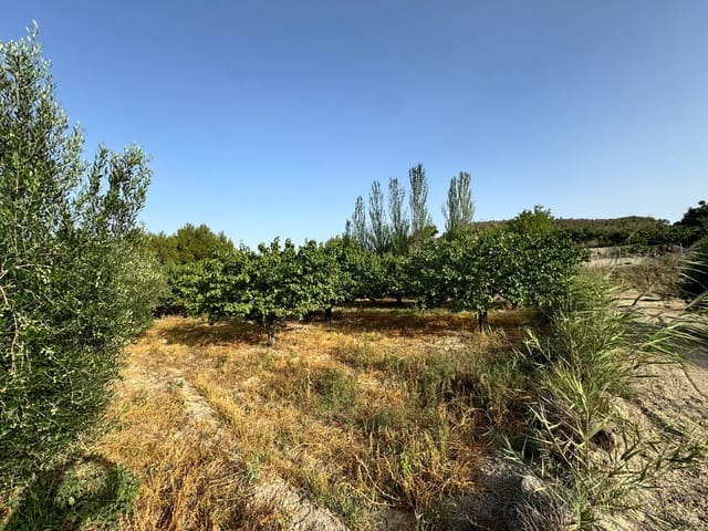 Finca/Casa Rural en Cehegín en venta - 36.000 € (Ref: 8449677)