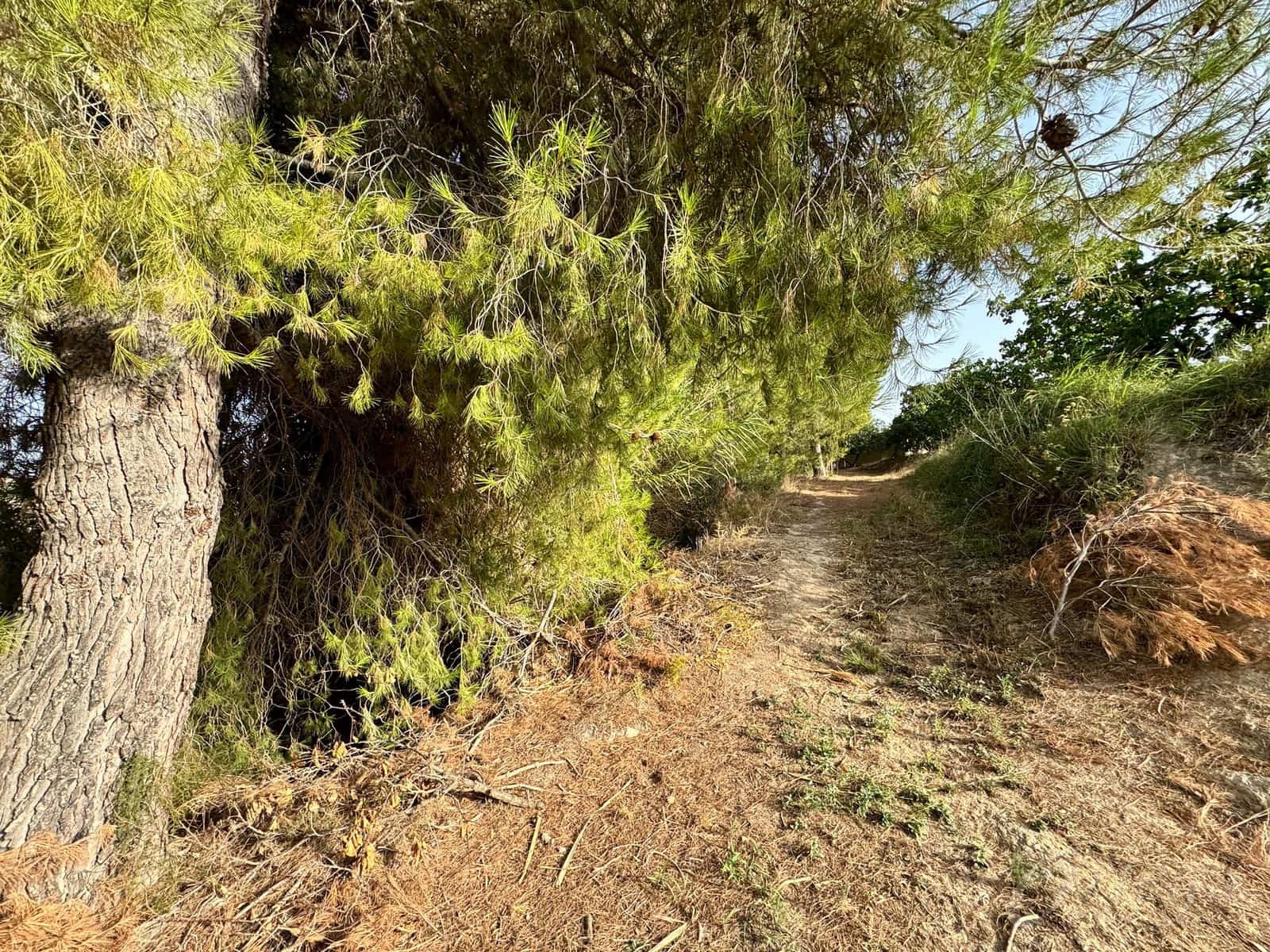 Finca/Country House for sale in Cehegin - € 36,000 (Ref: 8449677)