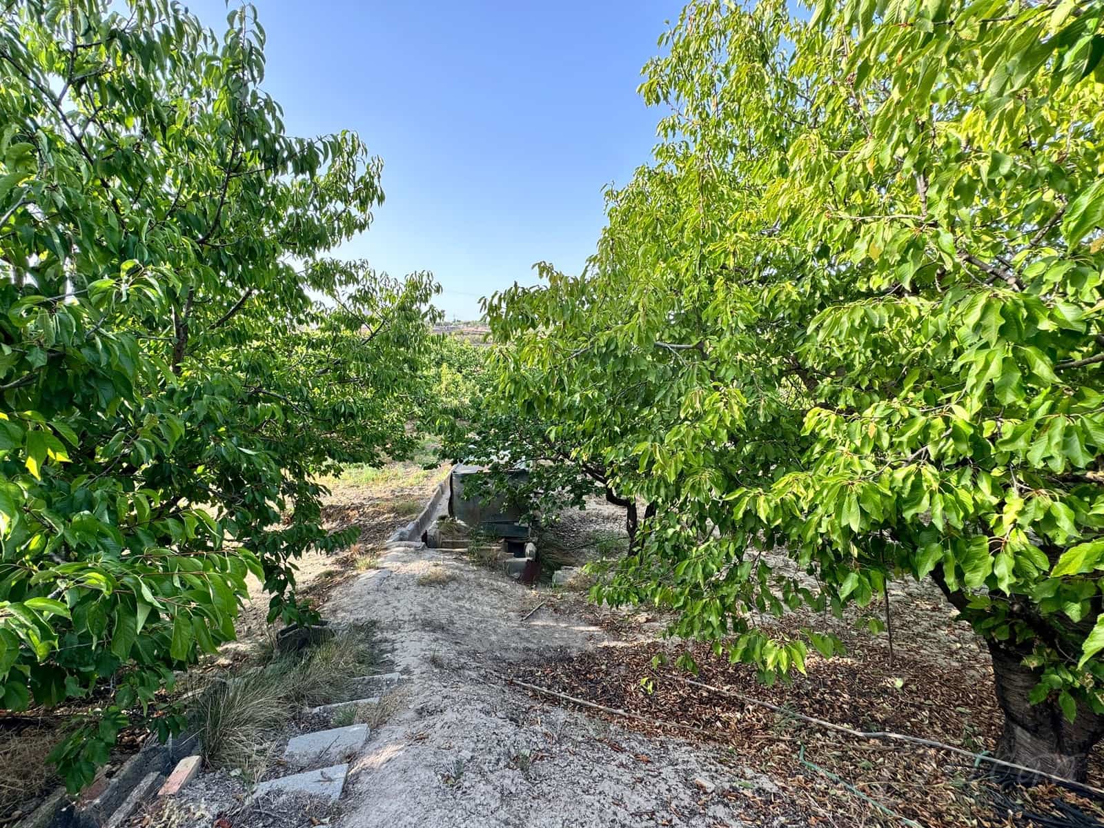 Finca/Country House for sale in Cehegin - € 36,000 (Ref: 8449677)