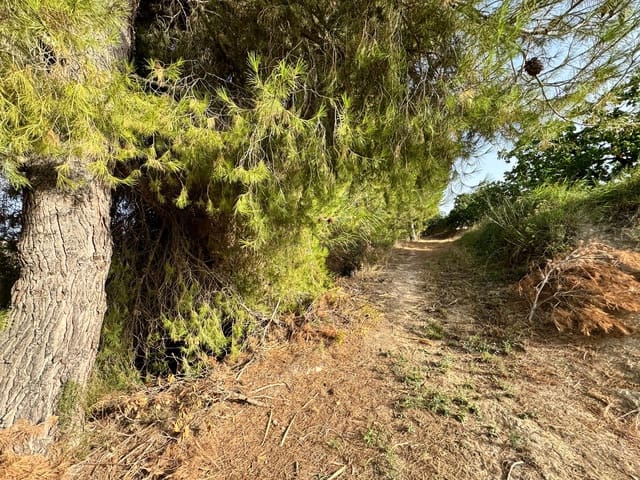 Finca/Casa Rural en Cehegín en venta - 36.000 € (Ref: 8449677)