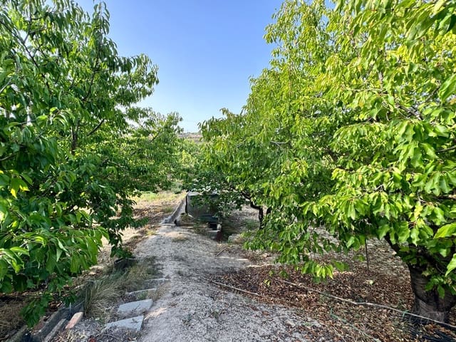 Finca/Casa Rural en Cehegín en venta - 36.000 € (Ref: 8449677)