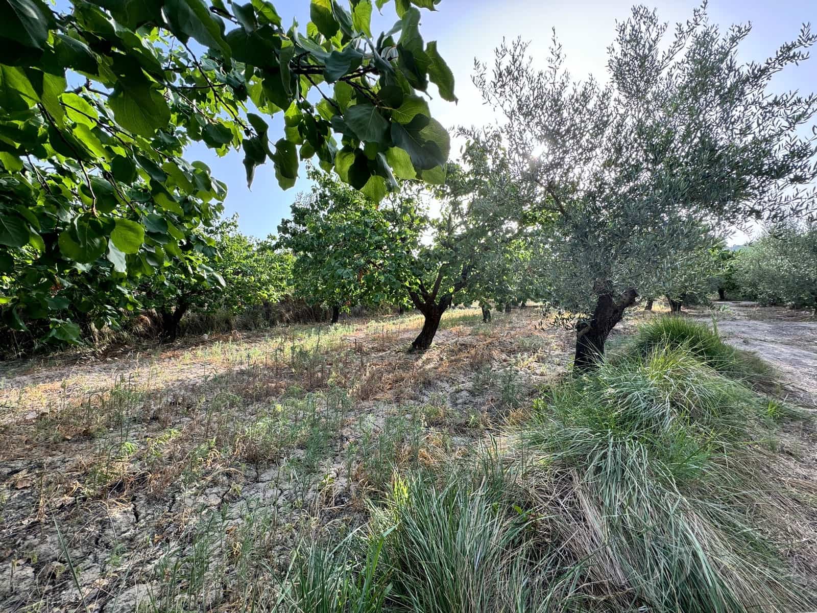 Finca/Country House for sale in Cehegin - € 36,000 (Ref: 8449677)