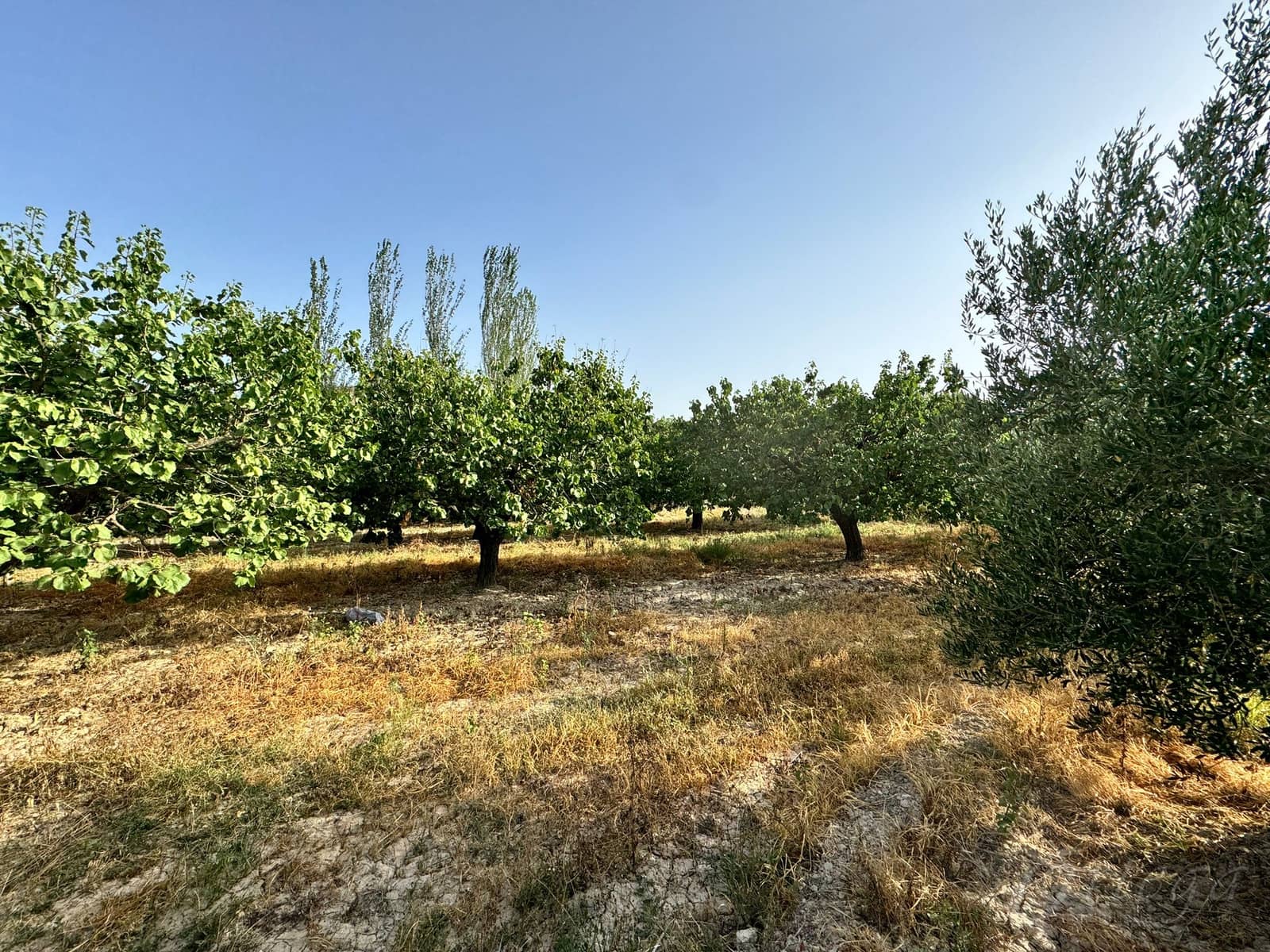 Finca/Country House for sale in Cehegin - € 36,000 (Ref: 8449677)