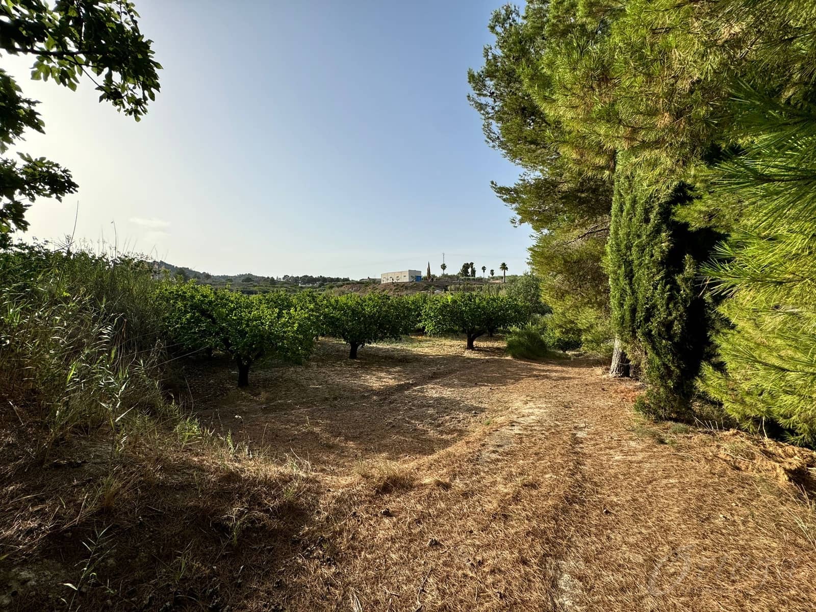 Finca/Country House for sale in Cehegin - € 36,000 (Ref: 8449677)