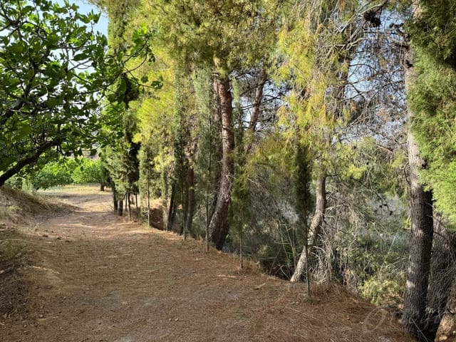 Finca/Casa Rural en Cehegín en venta - 36.000 € (Ref: 8449677)