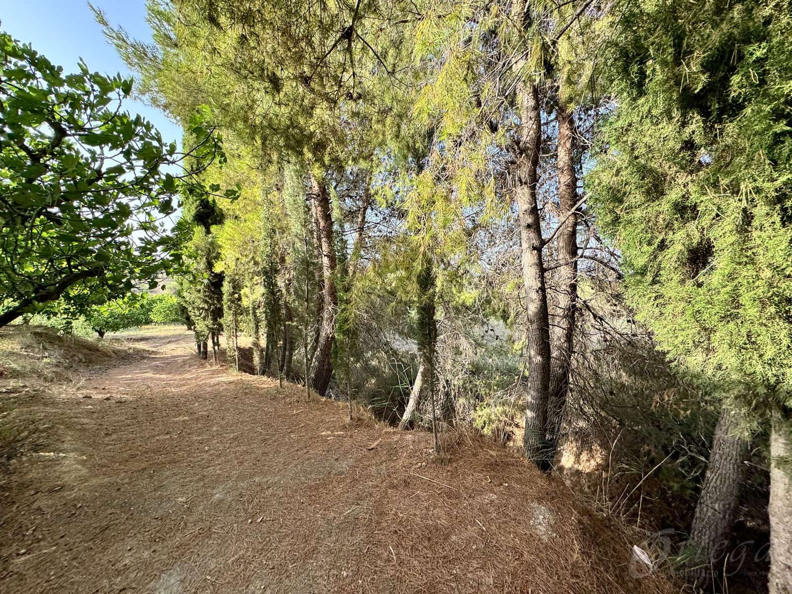 Finca/Country House for sale in Cehegin - € 36,000 (Ref: 8449677)