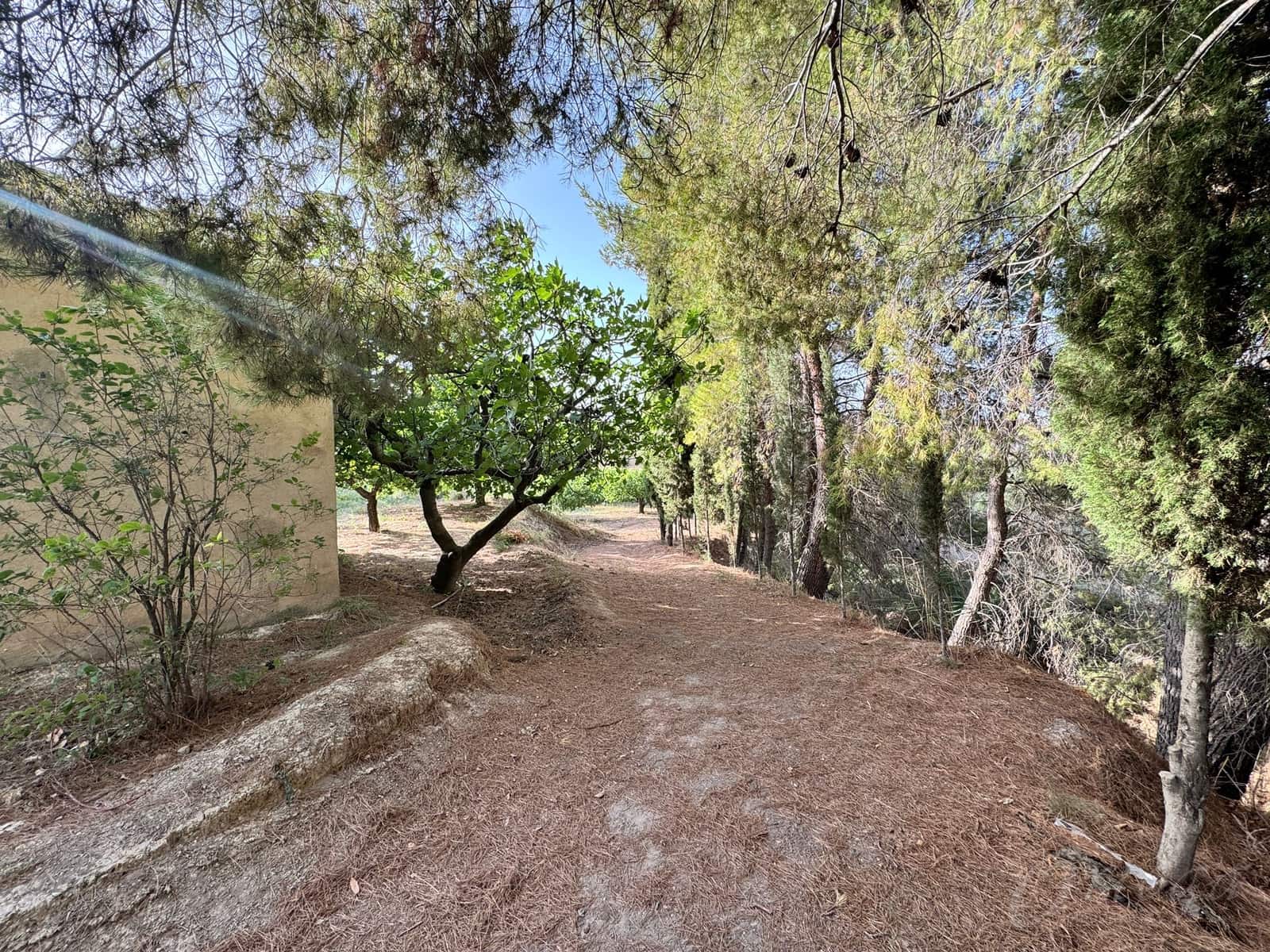 Finca/Country House for sale in Cehegin - € 36,000 (Ref: 8449677)