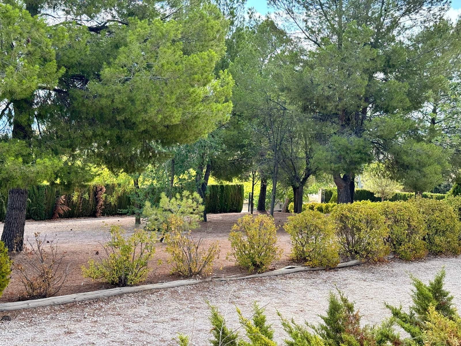 4 bedroom Finca/Country House for sale in Caravaca de la Cruz with pool garage - € 215,000 (Ref: 8532801)