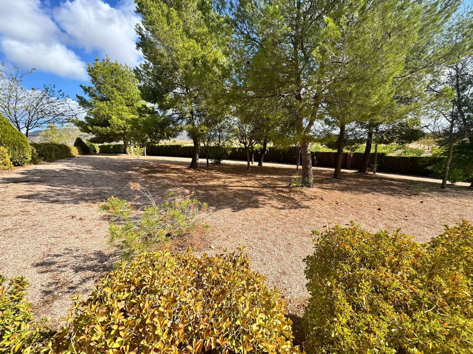 4 bedroom Finca/Country House for sale in Caravaca de la Cruz with pool garage - € 215,000 (Ref: 8532801)