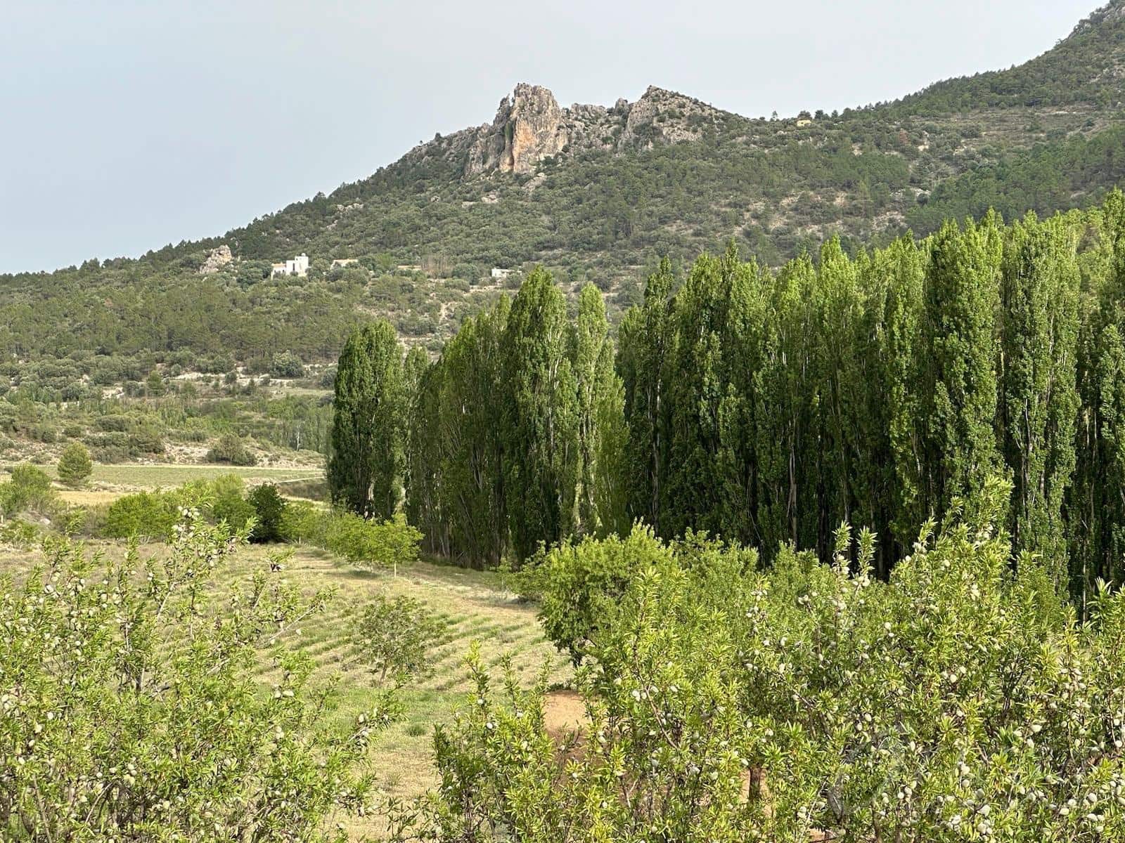 4 bedroom Finca/Country House for rent in Moratalla with garage - € 450 (Ref: 8664326)