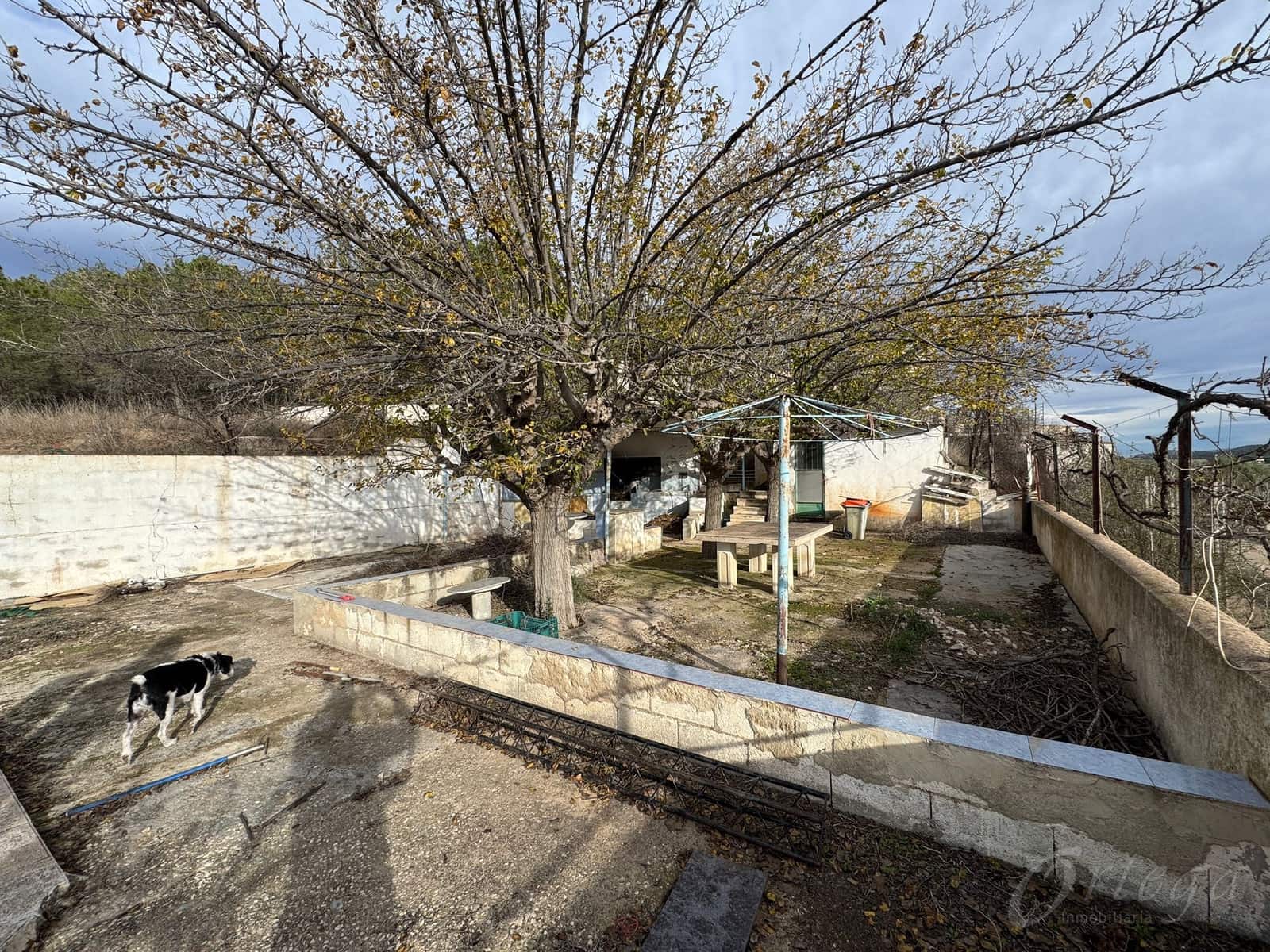 2 makuuhuone Maalaistalo myytävänä paikassa Cehegin mukana uima-altaan 
autotalli - 150 000 € (Ref: 8666833)