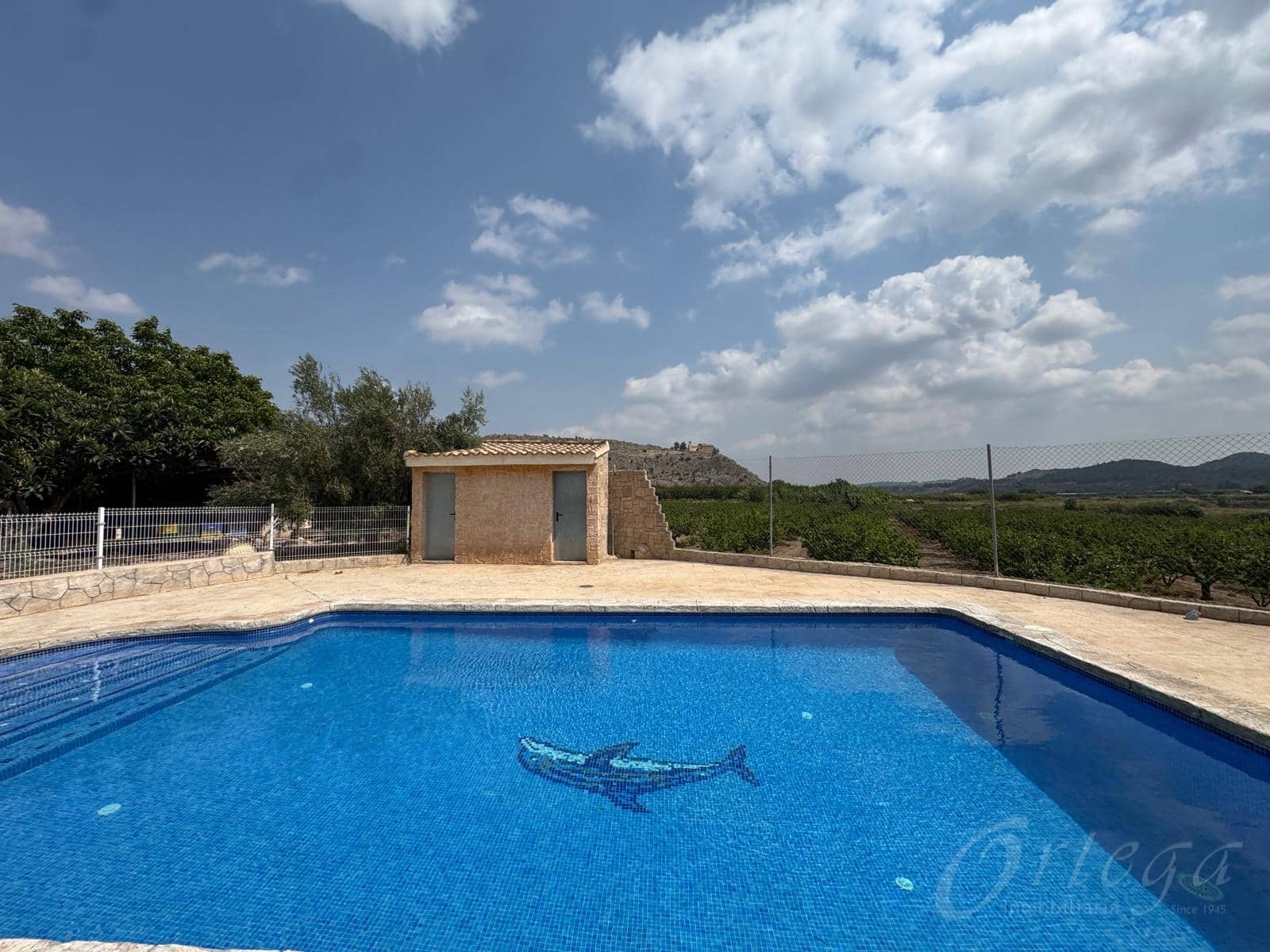 4 makuuhuone Maalaistalo myytävänä paikassa Cehegin mukana uima-altaan 
autotalli - 250 000 € (Ref: 9486962)