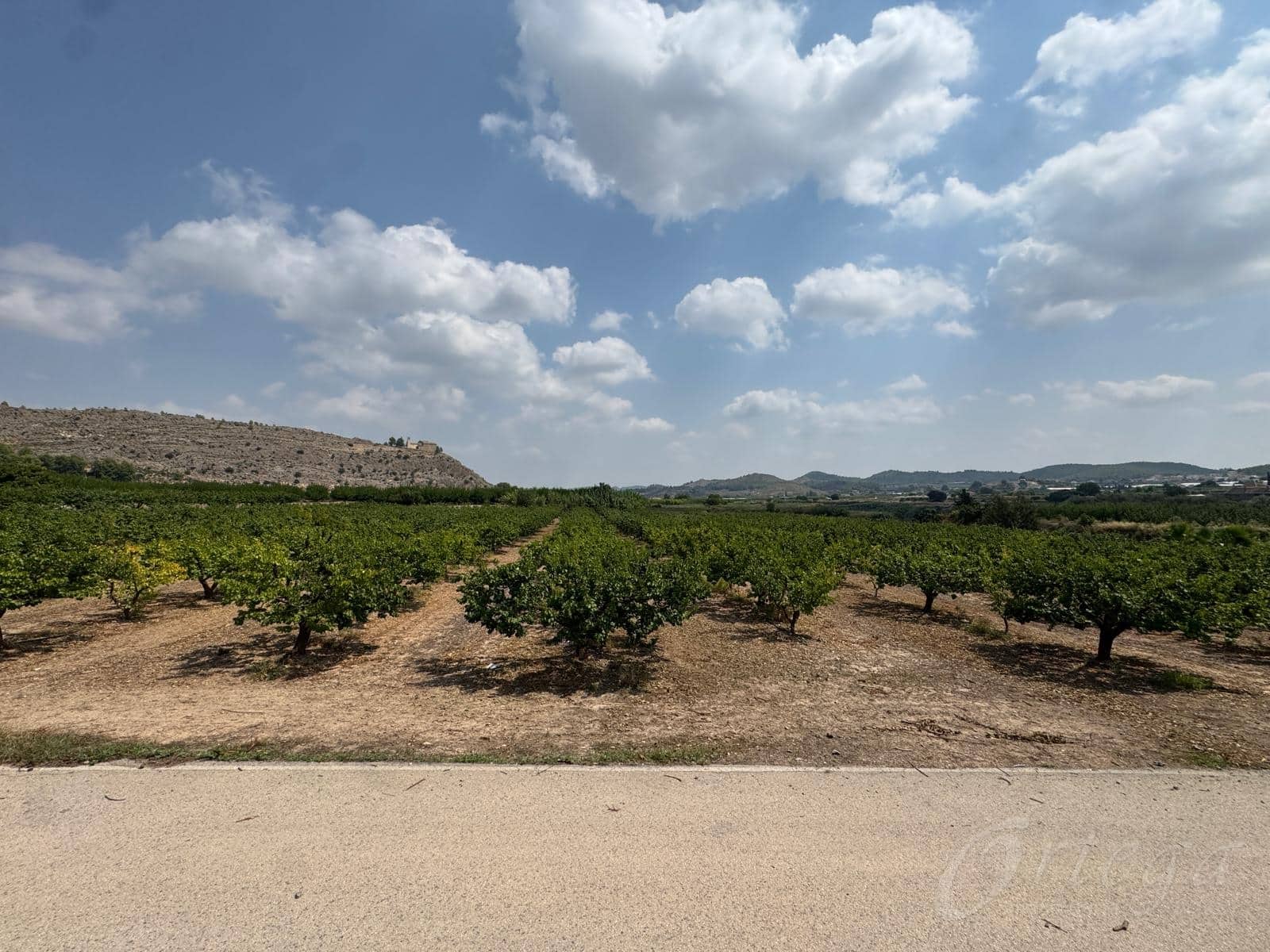 4 makuuhuone Maalaistalo myytävänä paikassa Cehegin mukana uima-altaan 
autotalli - 250 000 € (Ref: 9486962)