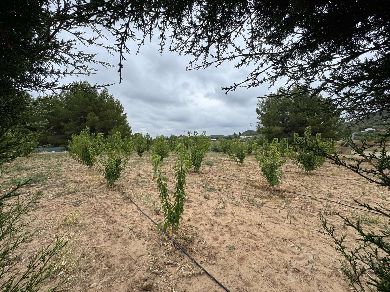 3 bedroom Finca/Country House for sale in Cehegin with pool garage - € 220,000 (Ref: 9486975)