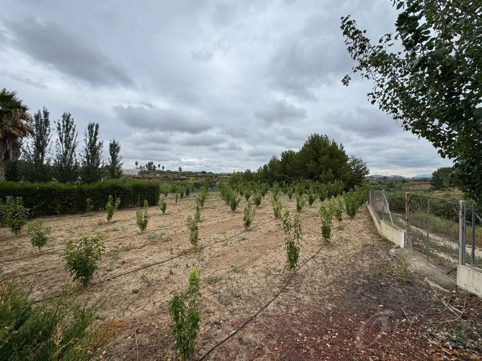 3 bedroom Finca/Country House for sale in Cehegin with pool garage - € 220,000 (Ref: 9486975)