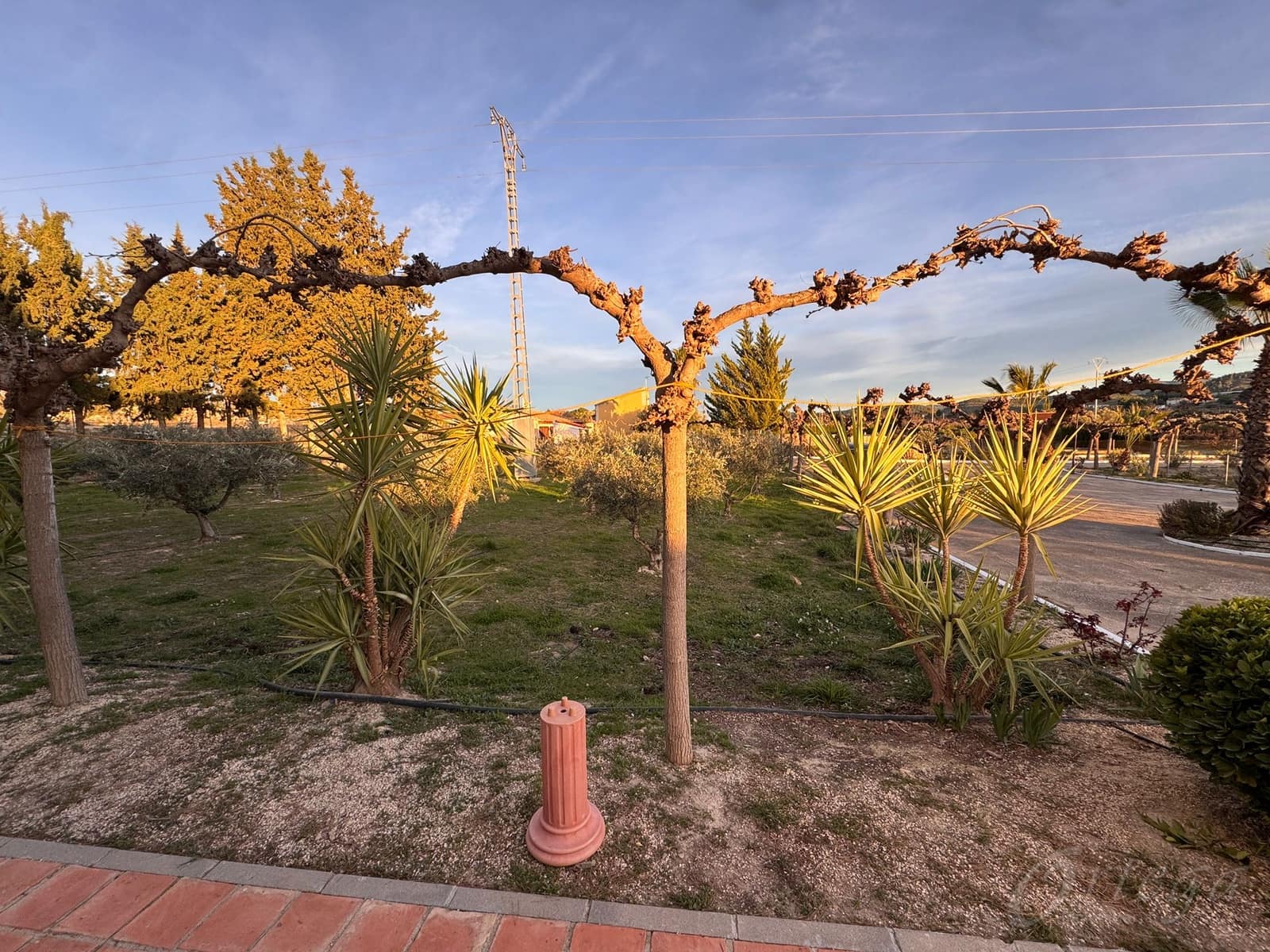 4 camera da letto Finca/Casa di Campagna da affittare in Cehegin con garage - 1.300 € (Rif: 9490920)