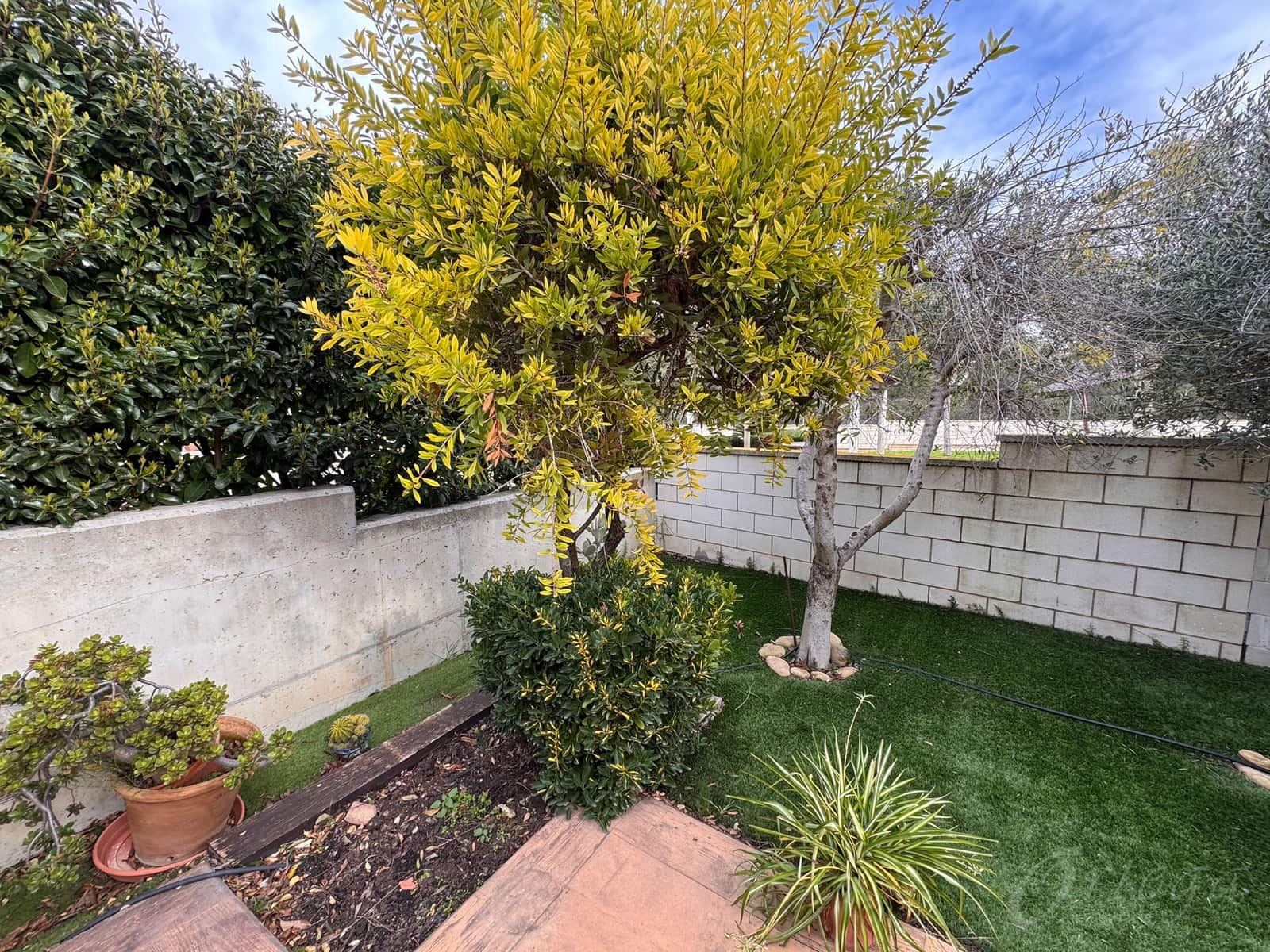 5 soverom Finca/Herregård til salgs i Sangonera La Verde med svømmebasseng garasje - € 235 000 (Ref: 9566779)