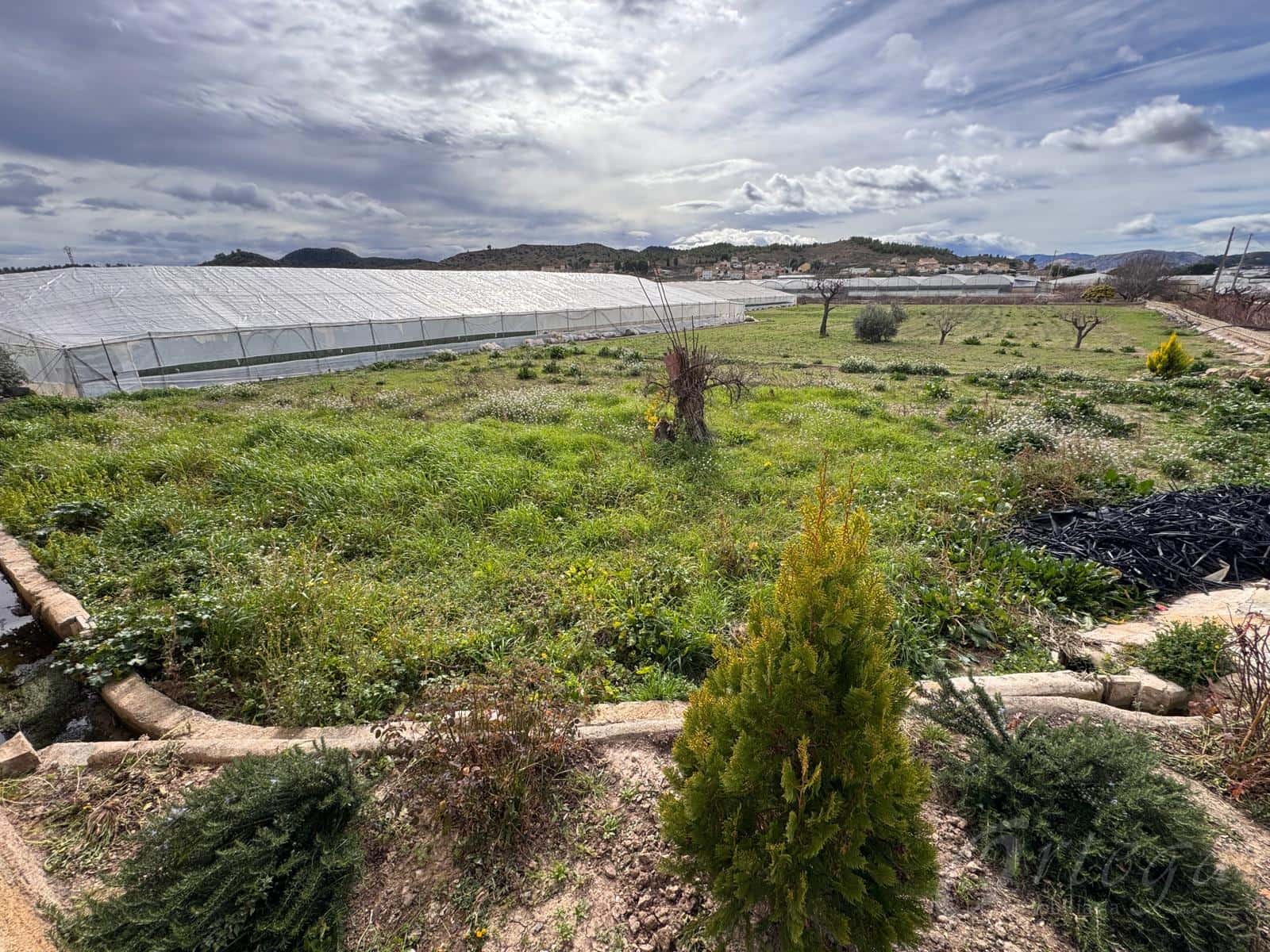 3 bedroom Finca/Country House for sale in Cehegin - € 36,800 (Ref: 9590501)