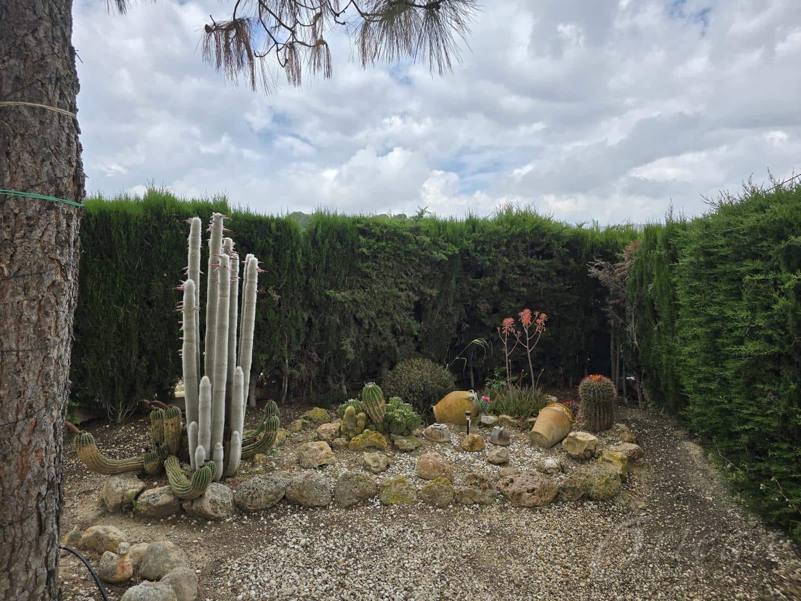 3 bedroom Finca/Country House for rent in Cehegin with garage - € 500 (Ref: 9772538)