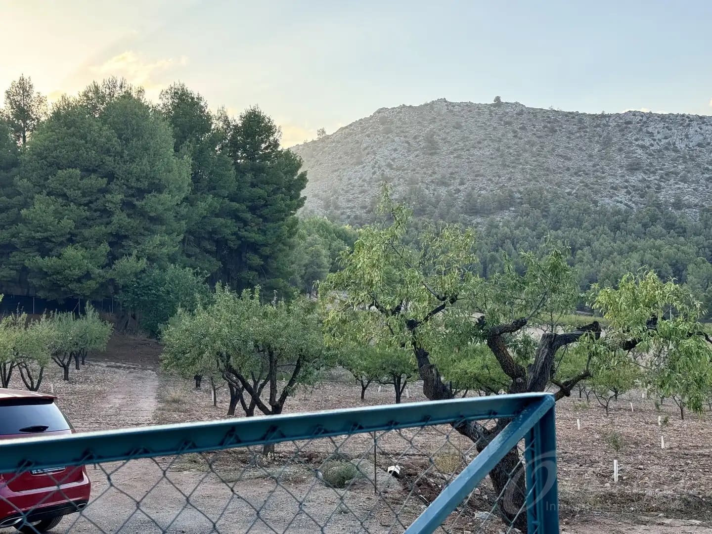 Undeveloped Land for sale in Cehegin - € 430,000 (Ref: 9777549)