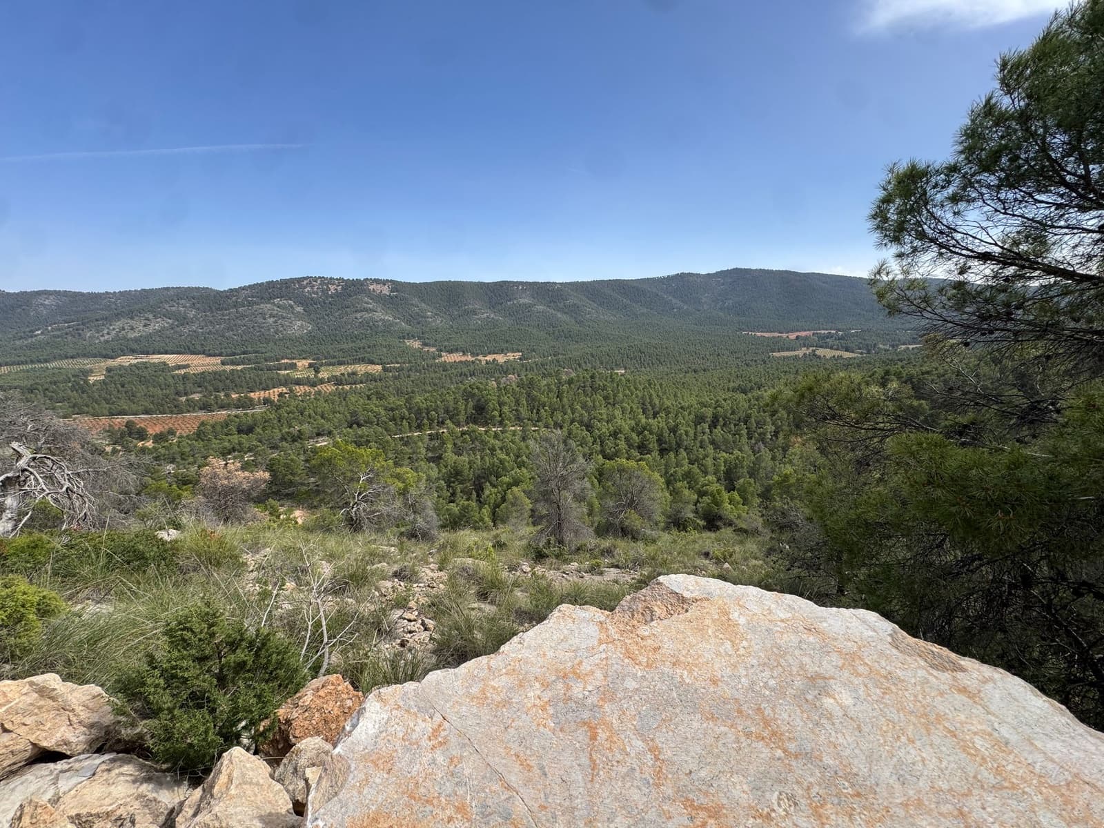 Undeveloped Land for sale in Cehegin - € 430,000 (Ref: 9777549)