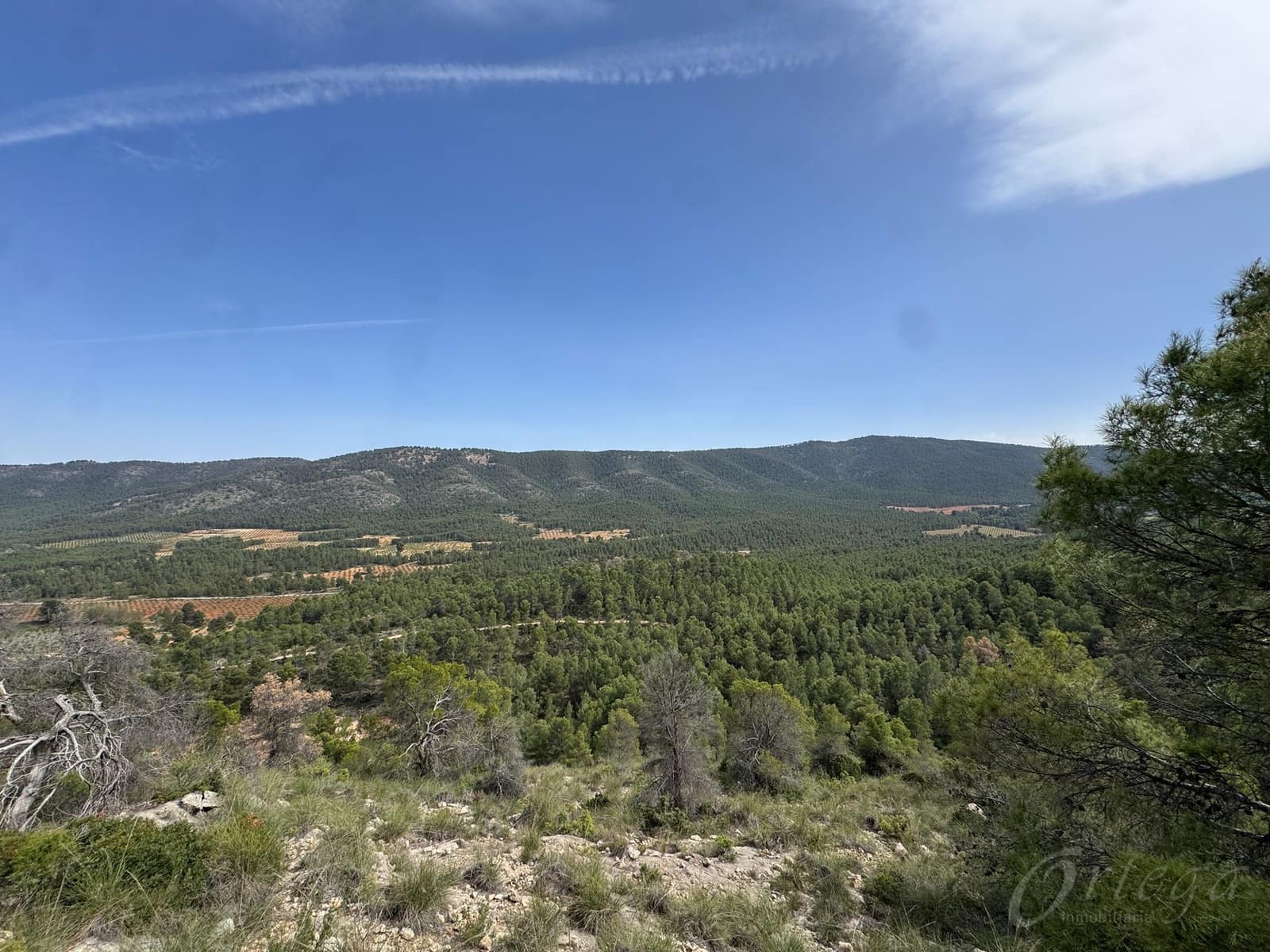 Undeveloped Land for sale in Cehegin - € 430,000 (Ref: 9777549)